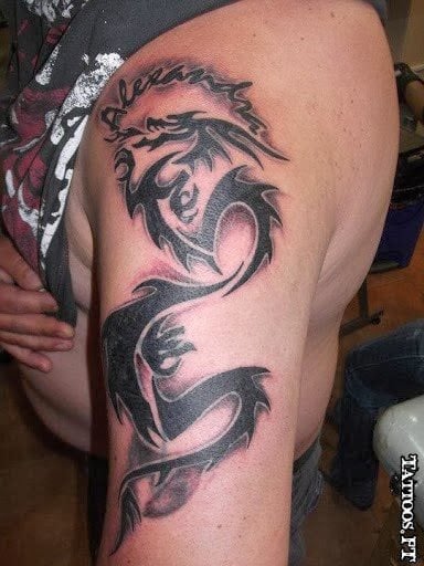 drache tattoo 51