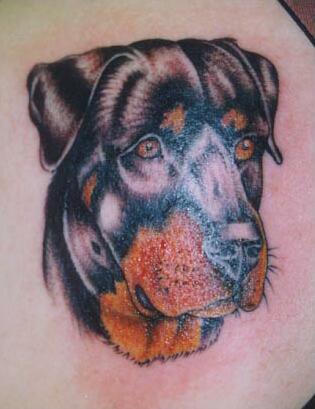 farbe tattoo 44