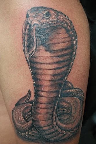 kobra tattoo 04
