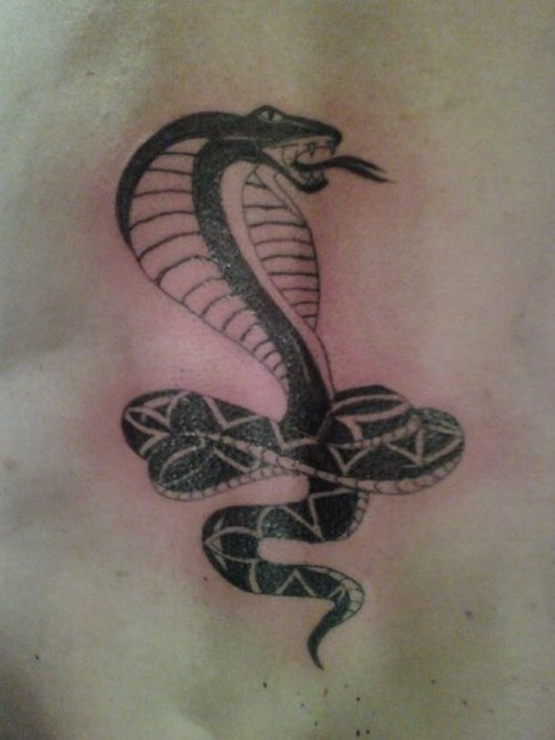 kobra tattoo 05