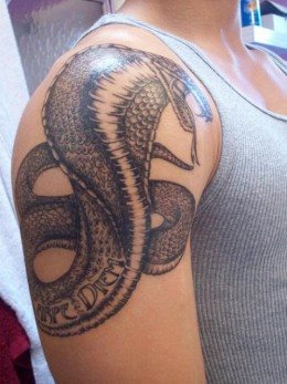 kobra tattoo 11