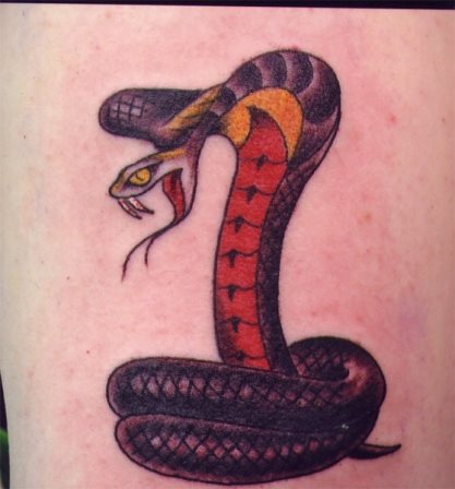 kobra tattoo 15