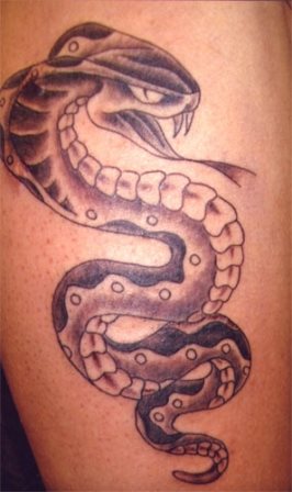 kobra tattoo 17