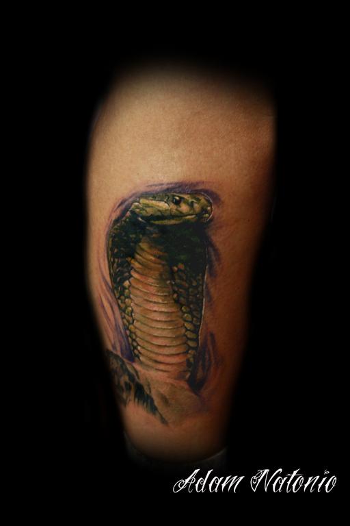 kobra tattoo 18