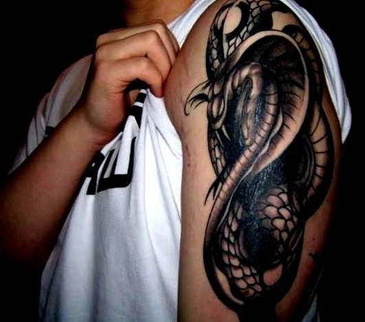kobra tattoo 26