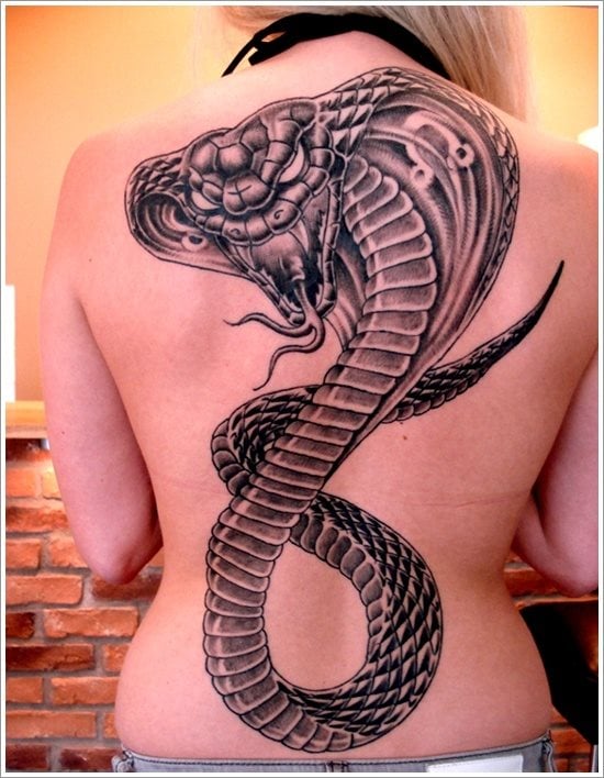 kobra tattoo 37