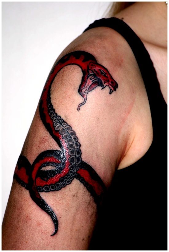 kobra tattoo 46