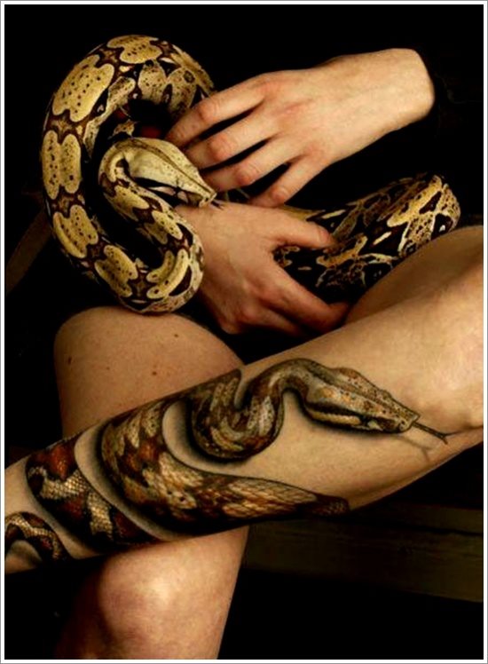 kobra tattoo 52