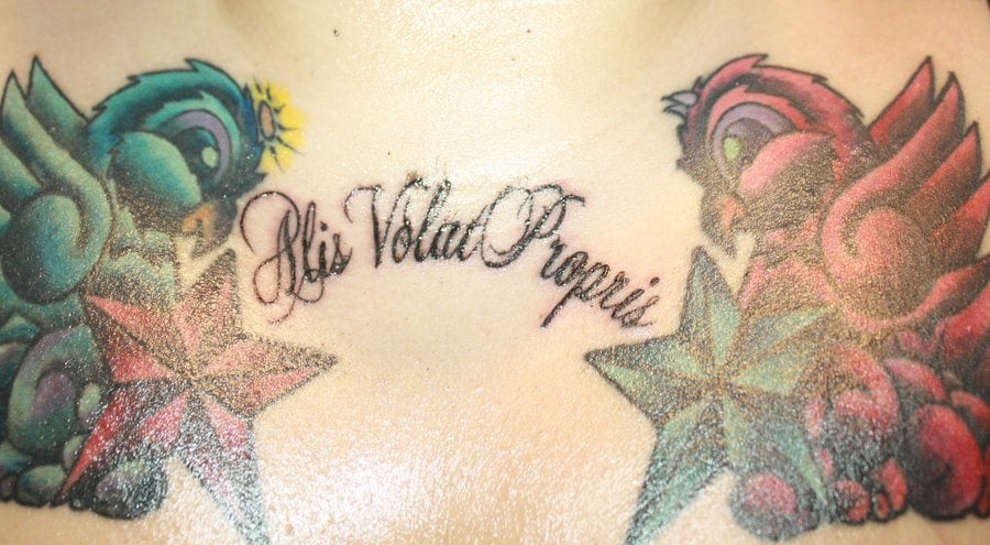Sprüche latein freiheit tattoo Tattooexperte