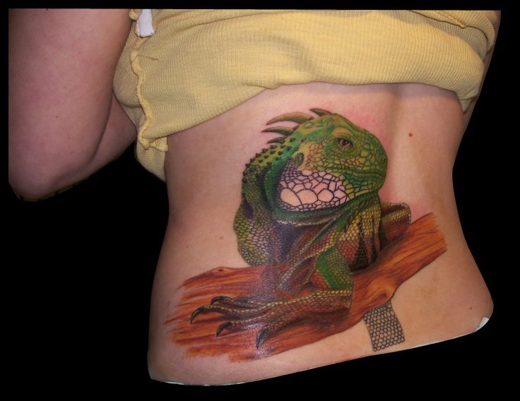 leguan tattoo 11