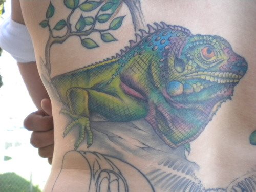 leguan tattoo 13