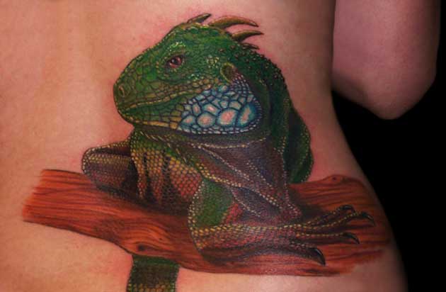 leguan tattoo 14