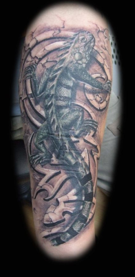 leguan tattoo 16