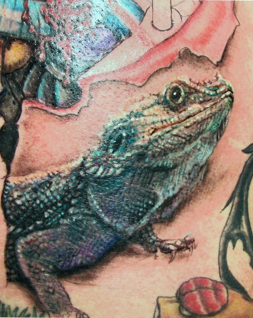 leguan tattoo 19