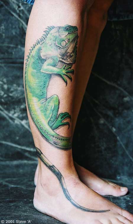 leguan tattoo 20