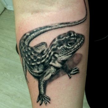 leguan tattoo 22