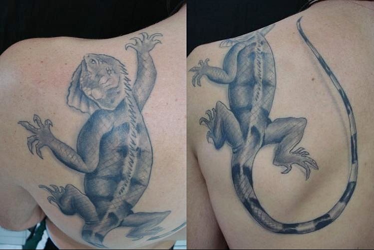 leguan tattoo 26