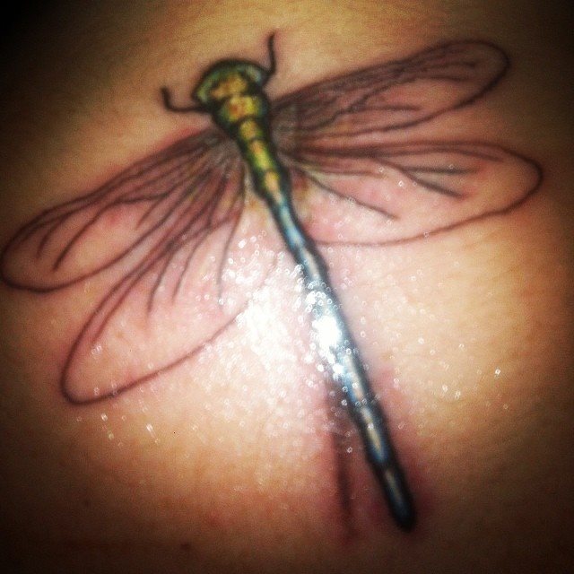 libelle tattoo 02