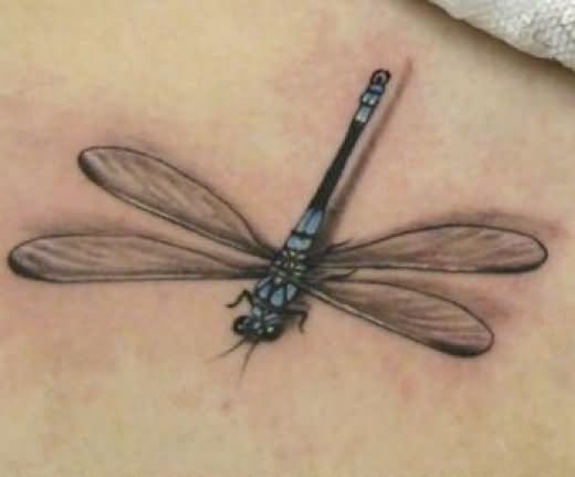 libelle tattoo 26