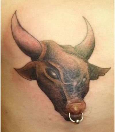 stier tattoo 04