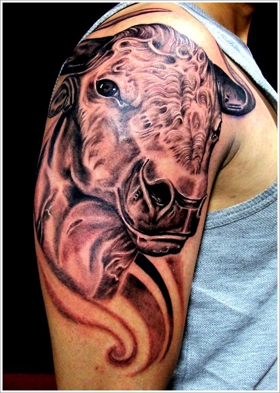 stier tattoo 12