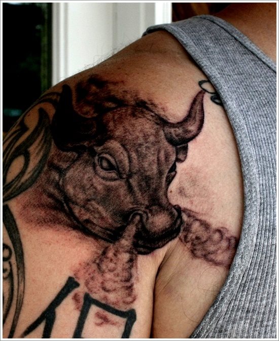 stier tattoo 14