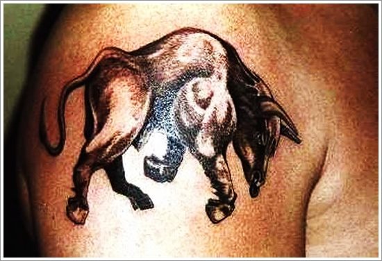 stier tattoo 26