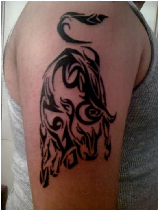 stier tattoo 28