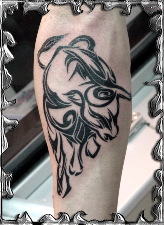 stier tattoo 44