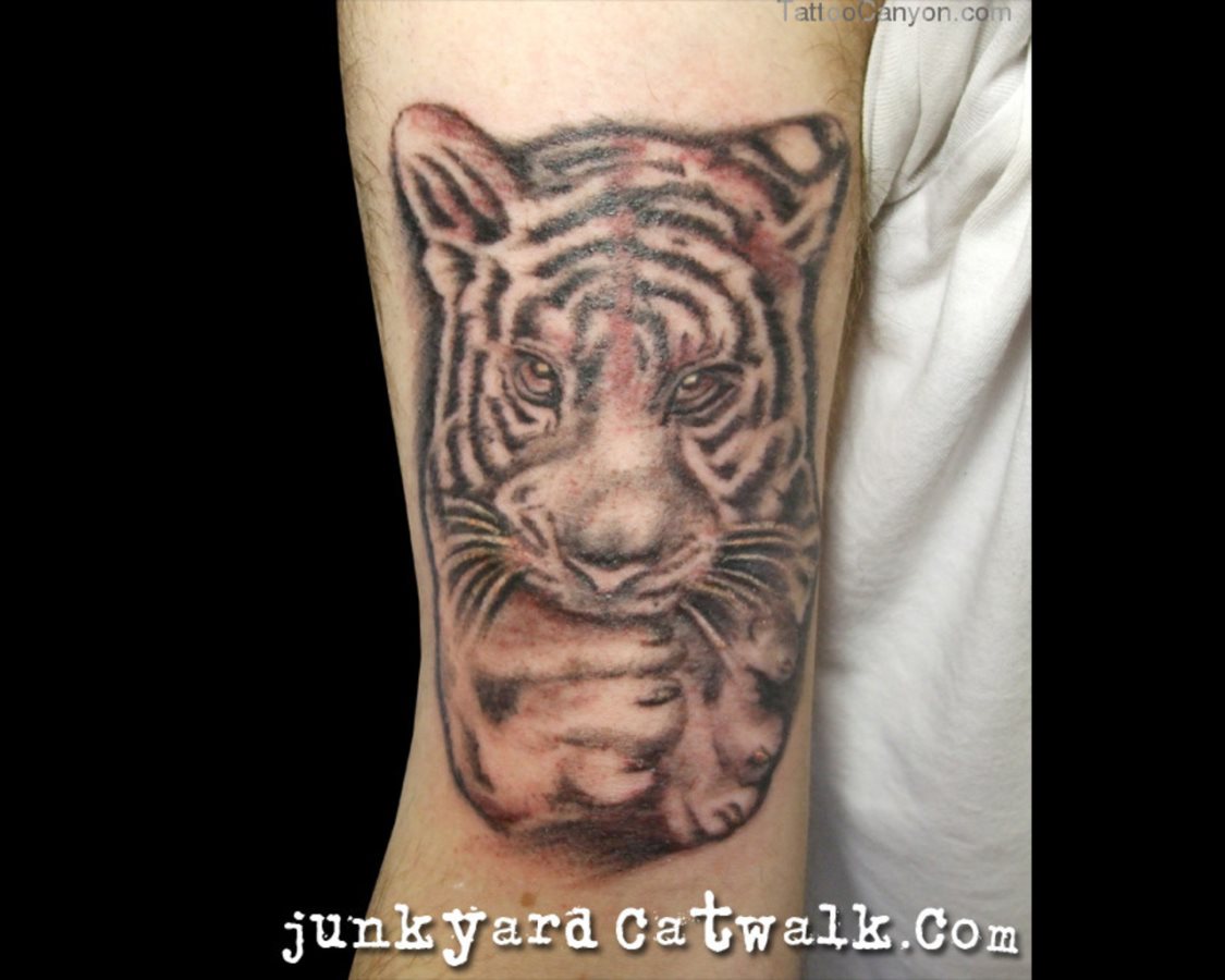 tiger tattoo 03