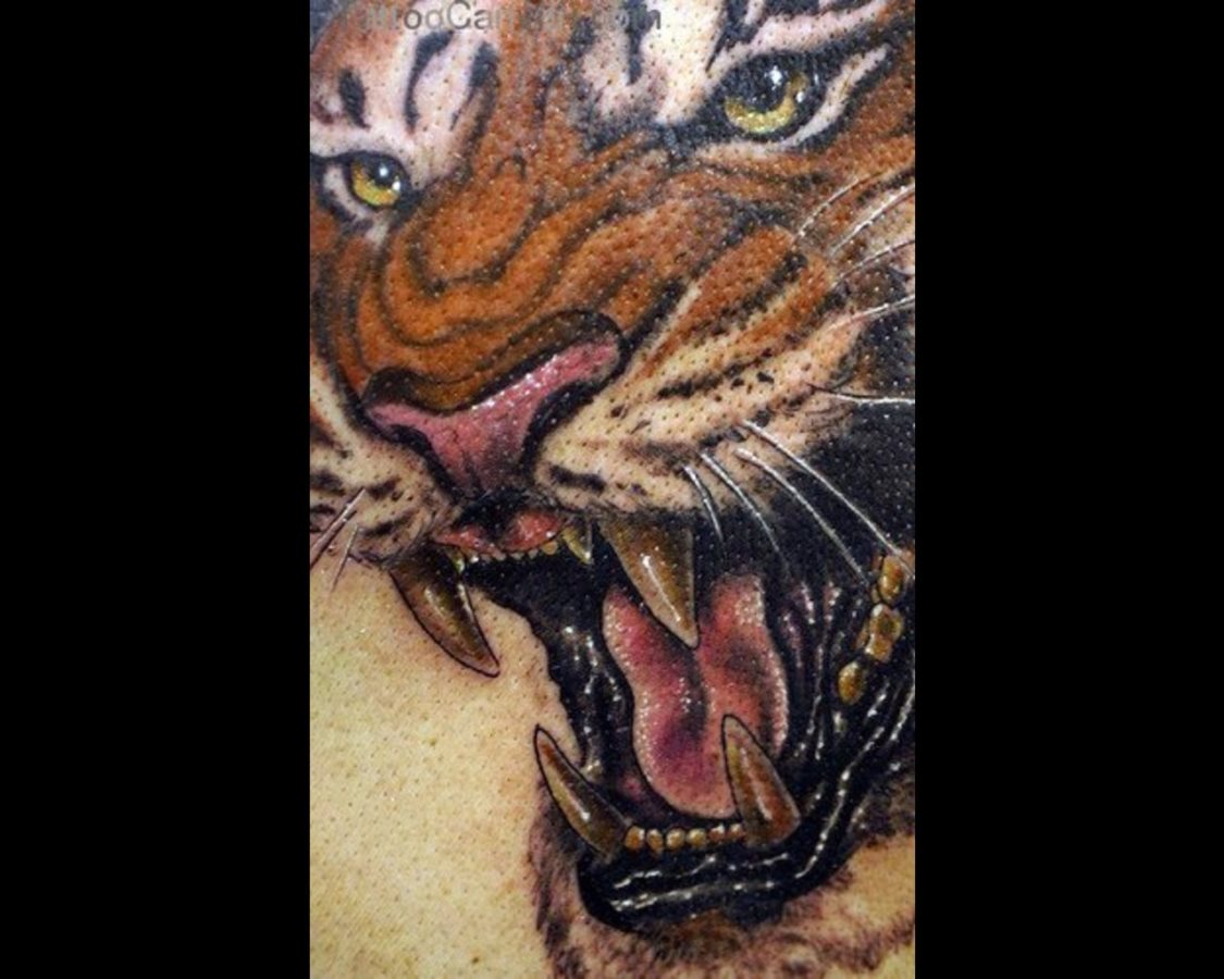 tiger tattoo 05