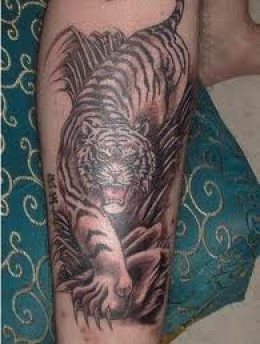 tiger tattoo 17