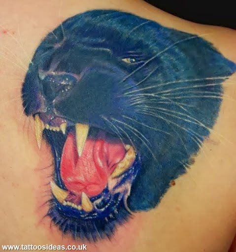 tiger tattoo 55