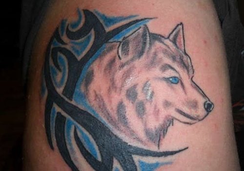 wolf tattoo 07