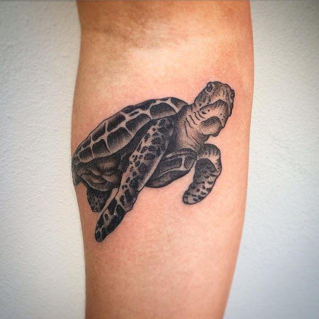 Schildkrote Tattoo 05