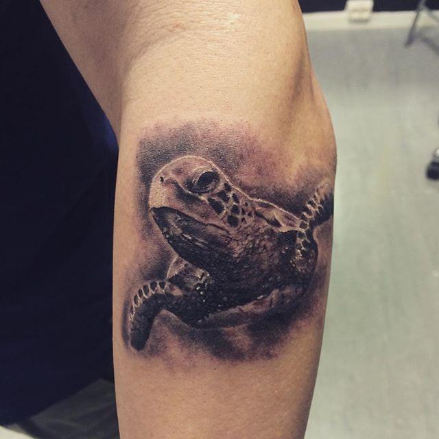 Schildkrote Tattoo 119