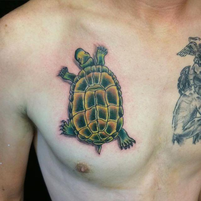 Schildkrote Tattoo 41