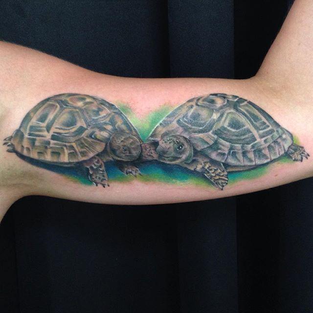 Schildkrote Tattoo 63