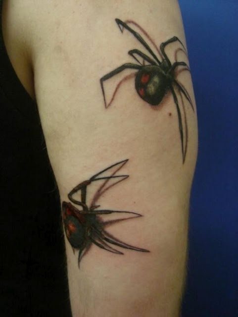 Bild 60-2116 Bild 60-2116