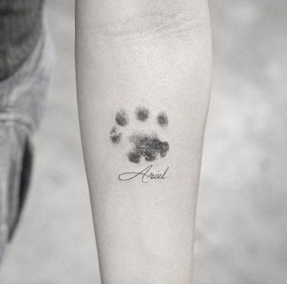 hundepfoten tattoo 213