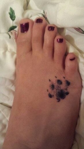 hundepfoten tattoo 251