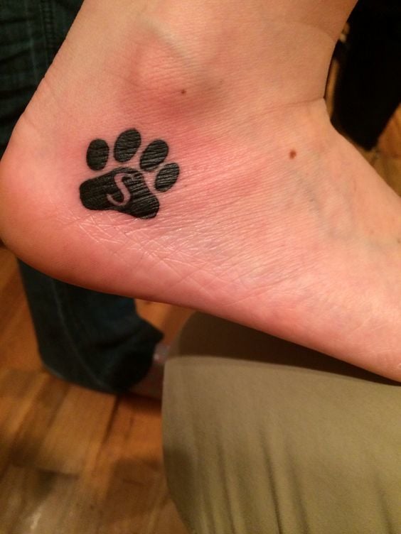 hundepfoten tattoo 255