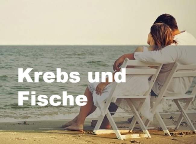 Krebs und Fische: Partnerschaft, Freundschaft und Liebe