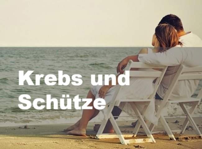 Krebs und Schutze