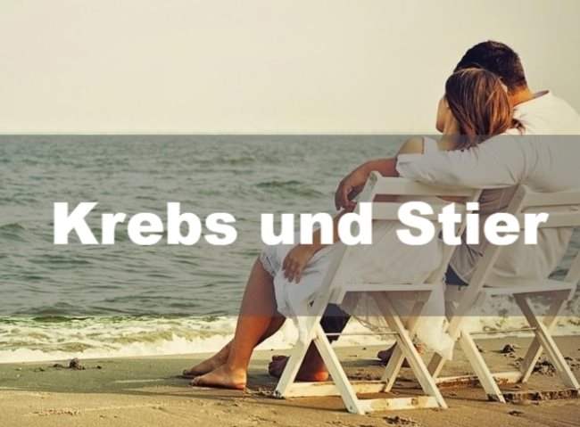 Krebs und Stier