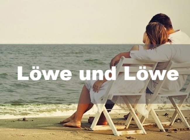 Löwe und Löwe – Partnerschaft und Liebe