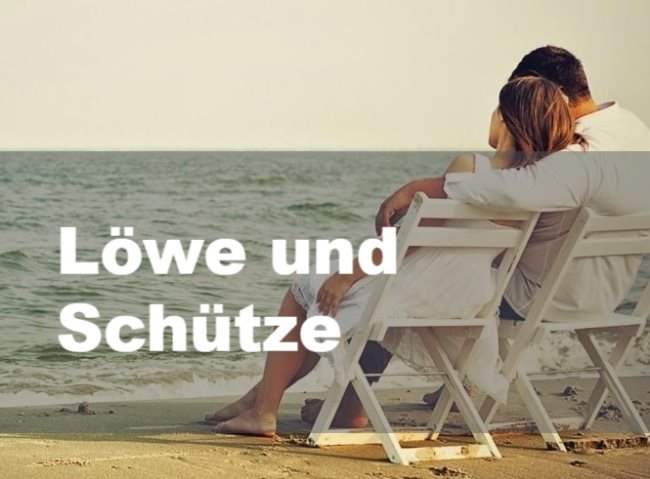 Lowe und Schutze