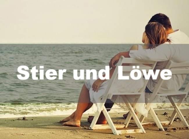 Stier und Löwe: Partnerschaft, Freundschaft und Liebe