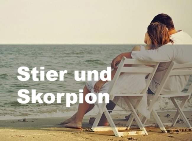 Stier und Skorpion