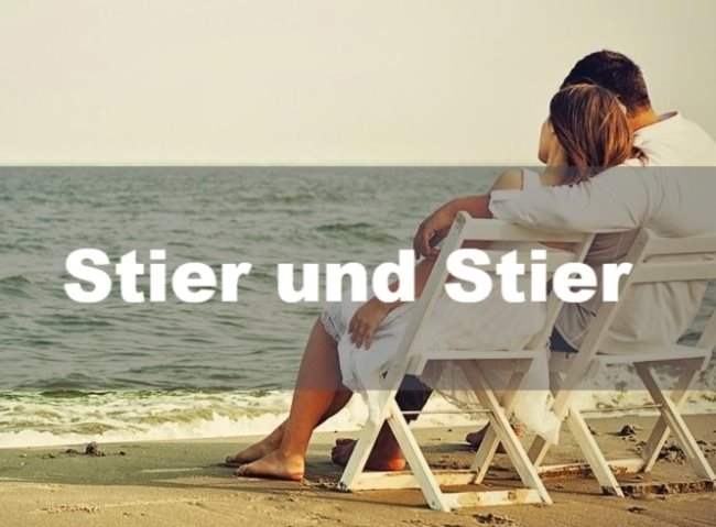 Stier und Stier – Partnerschaft und Liebe